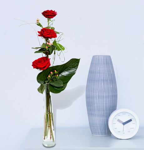 3 rosas rojas_ambiente